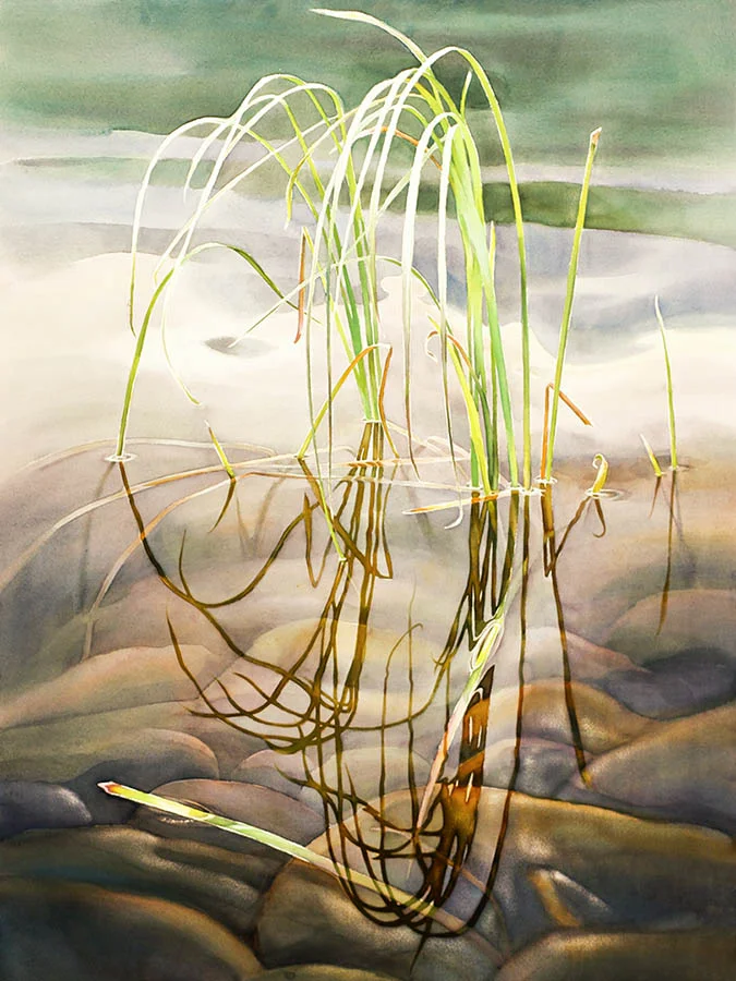 Pond reflections n.2