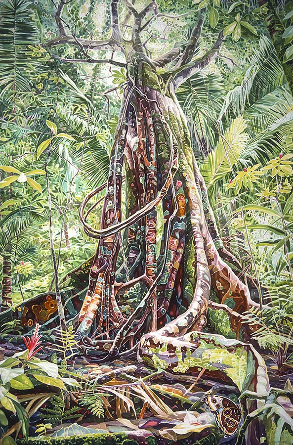 Rainforest n.1