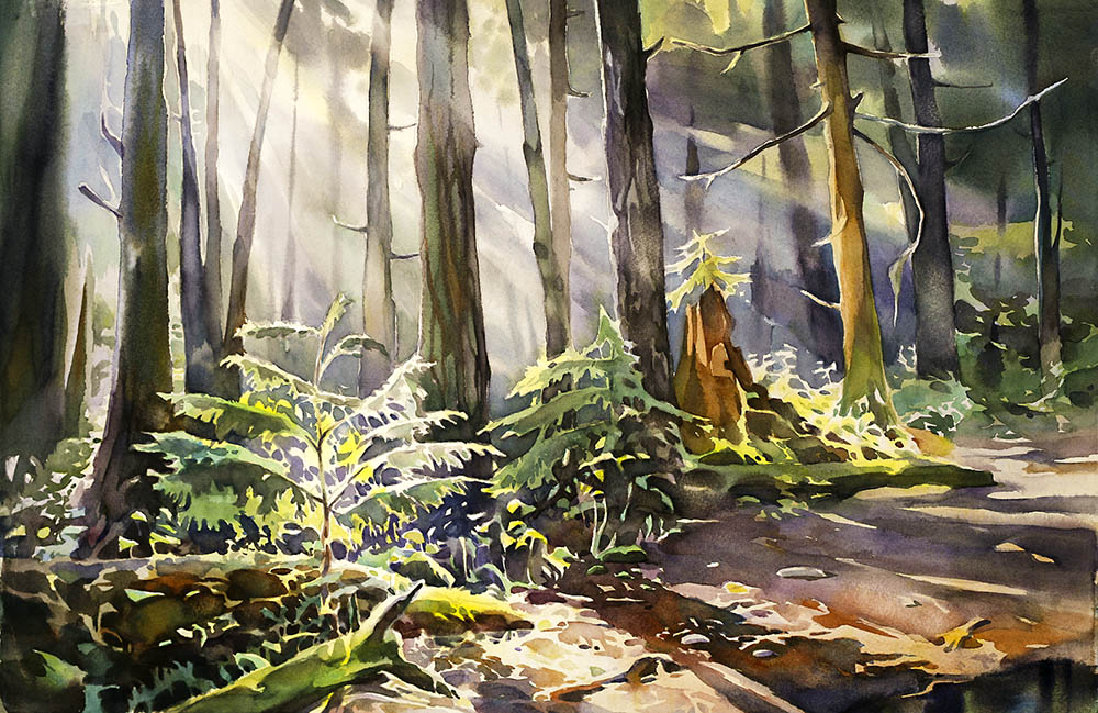 Pacific Spirit Forest, study n.2