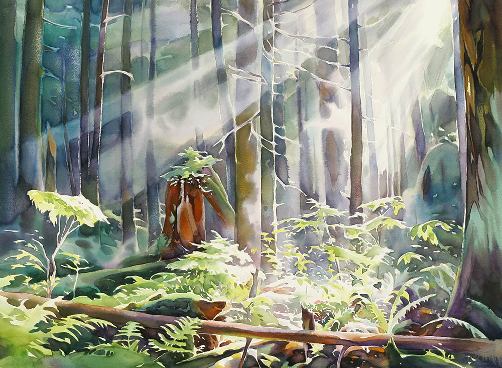 Pacific Spirit Forest