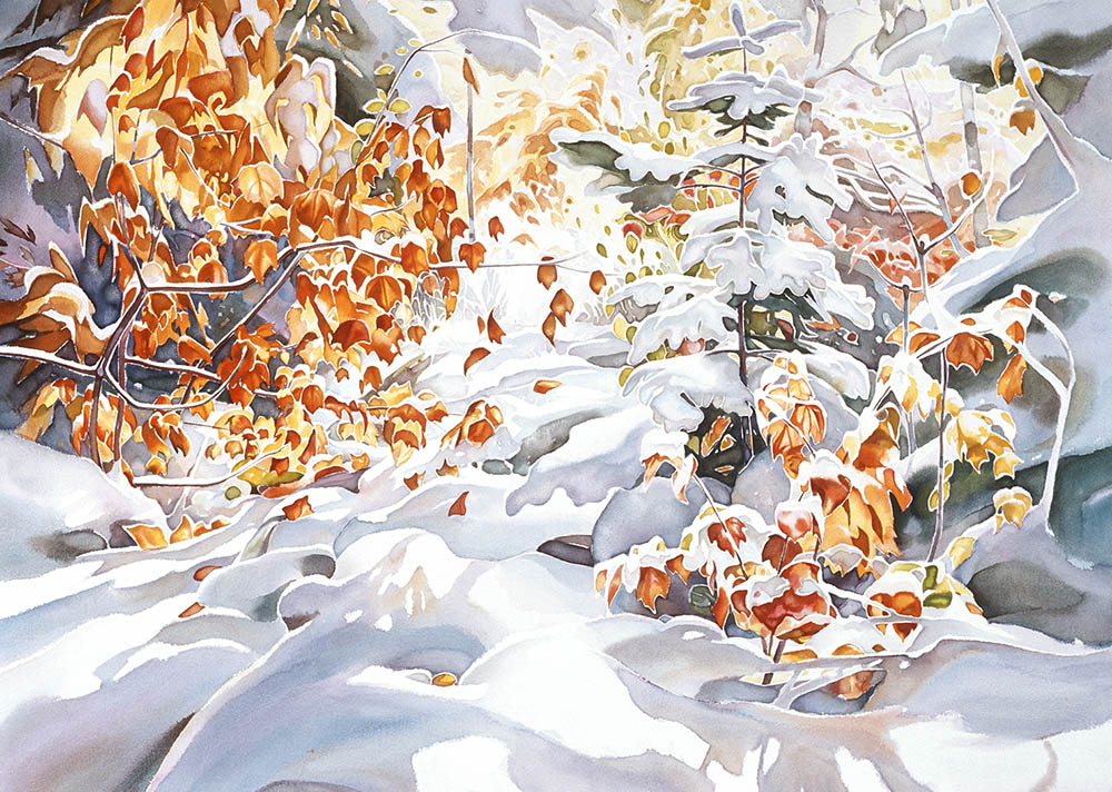 Early Snow - Algoma Highlands