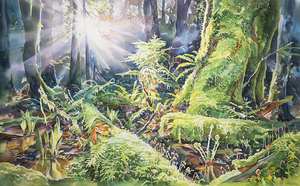Spring in the Pacific Spirit Forest