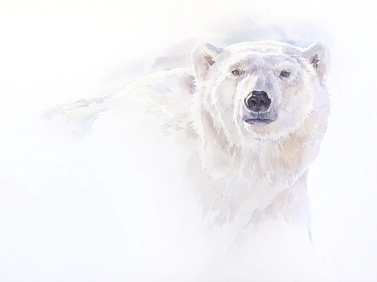polarbear_01.jpg