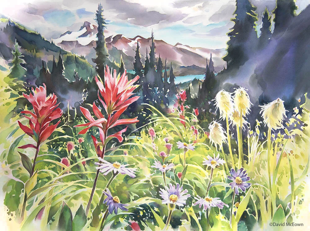 Spring in the Woods