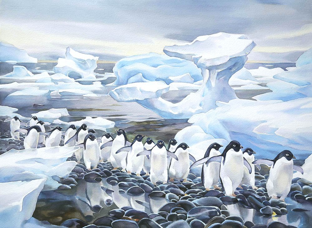 Antarctic Shoreline