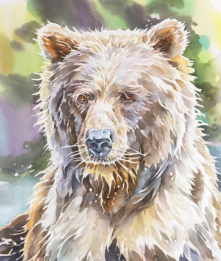 British Columbia  Northern Grizzly Bears