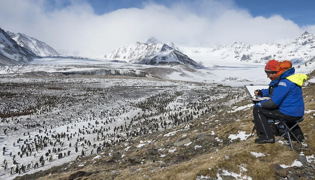 To South Georgia and the Falkland Islands