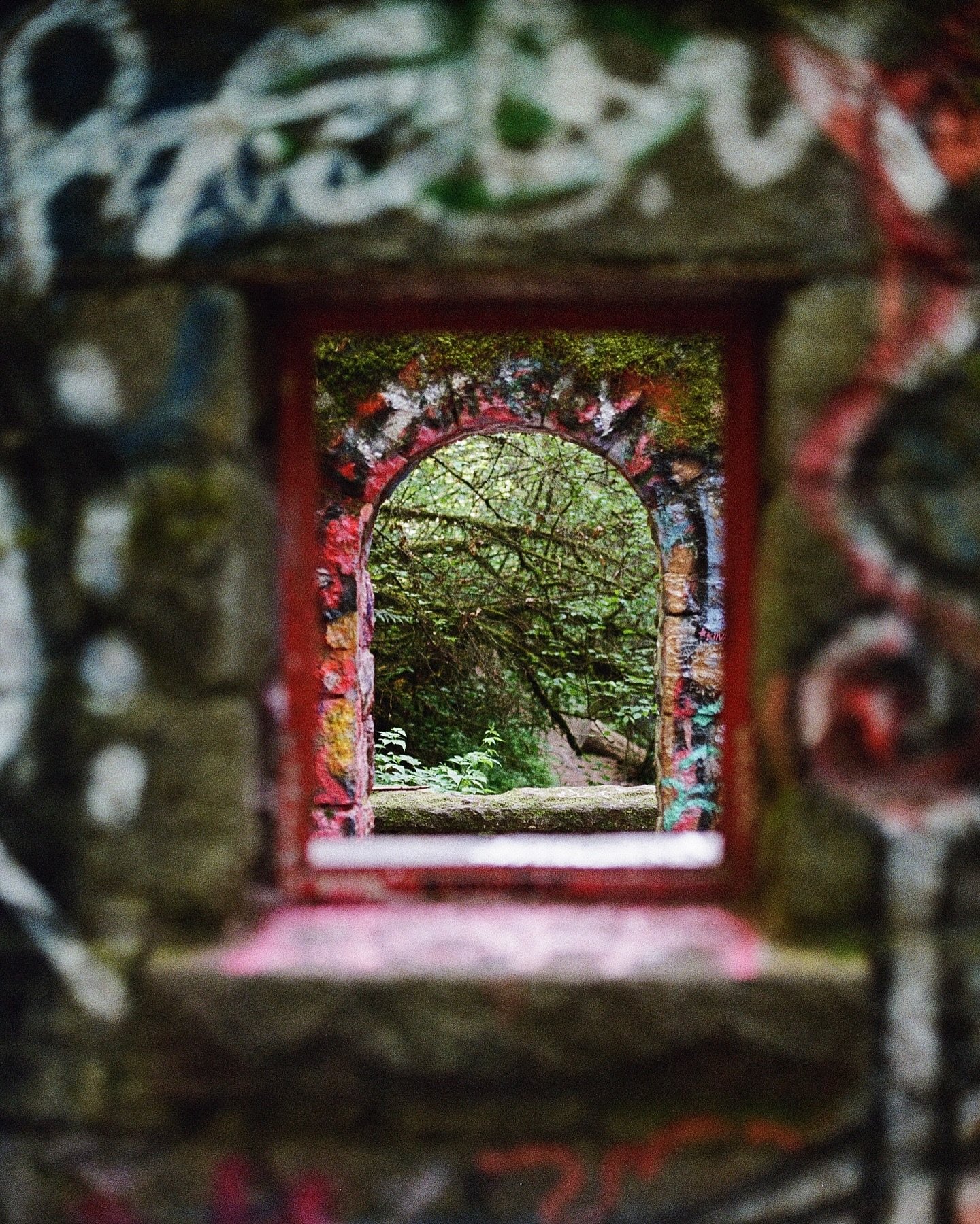 Witch&rsquo;s Castle - 35mm (05.02.25)