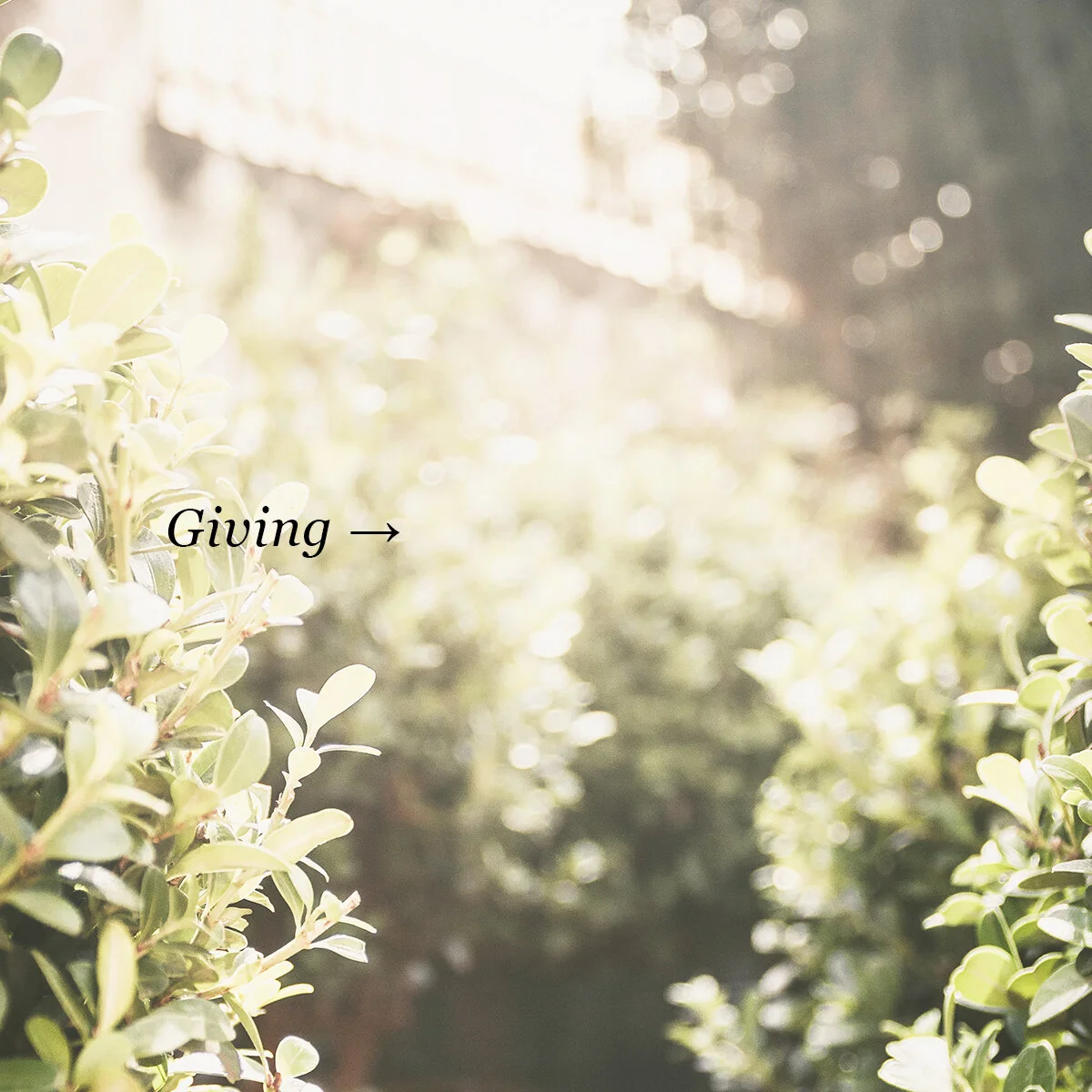 Giving-square.jpg