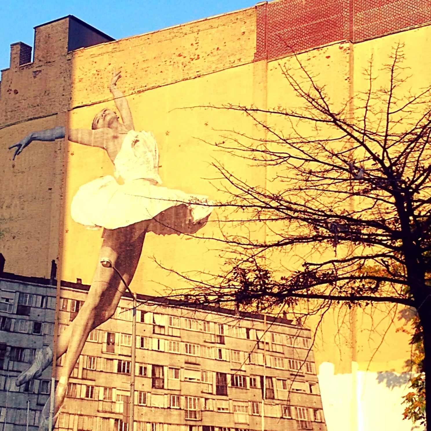 Life Lessons with Legs: The Enduring Benefits of Studying Dance as a Kid