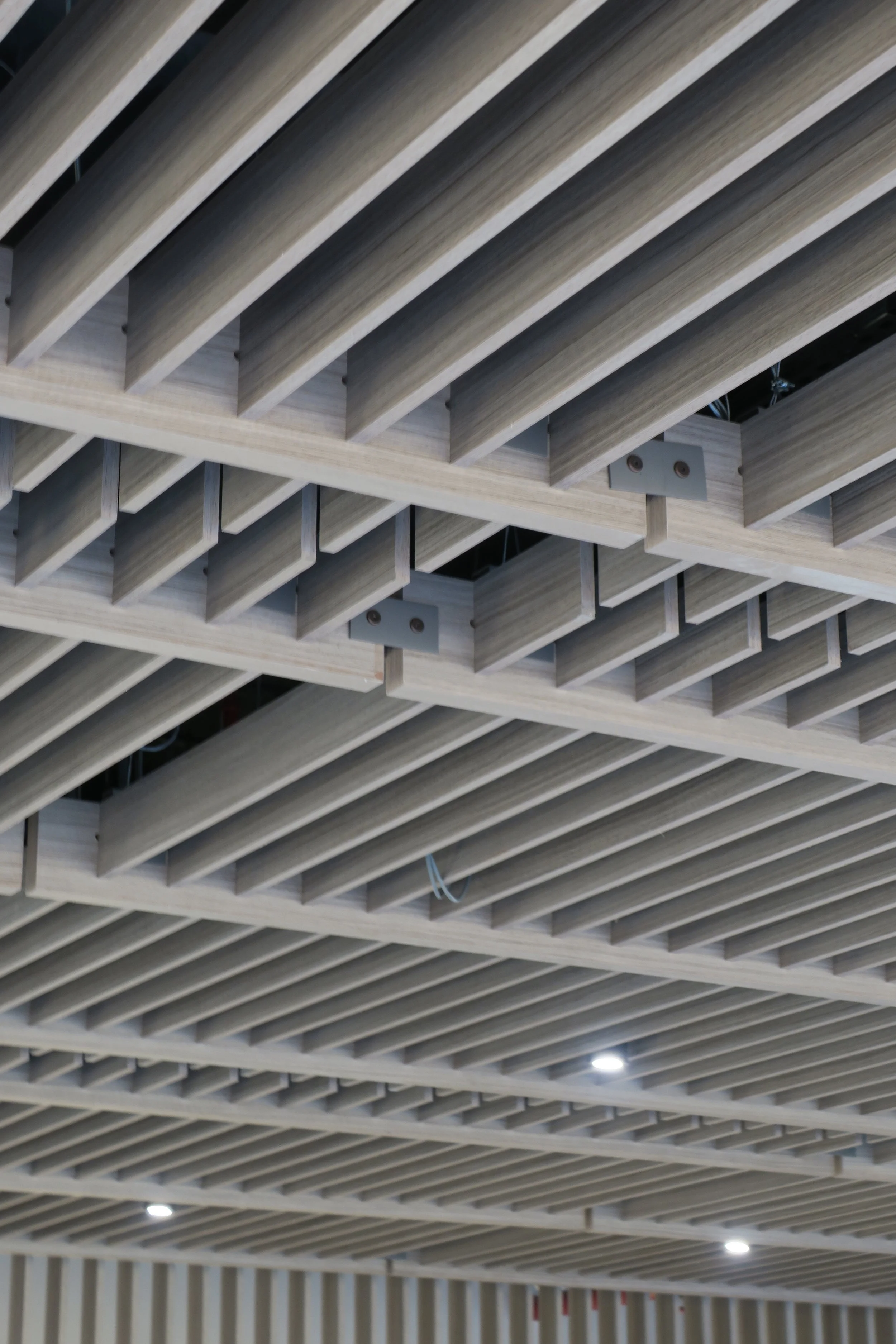 IMG_0124.jpg