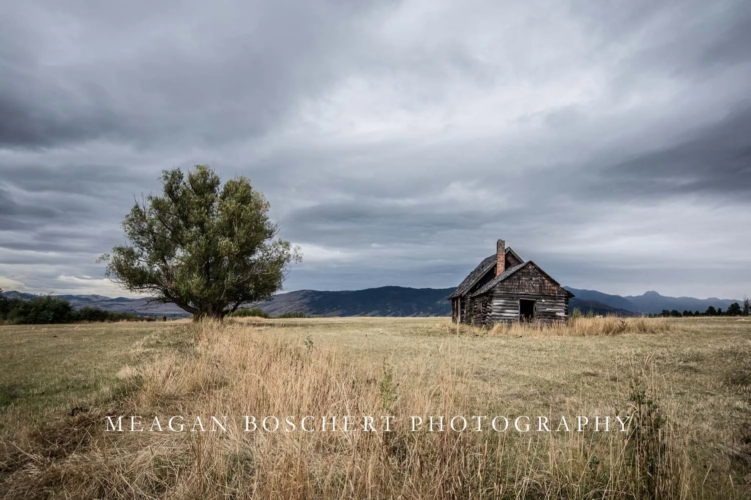 Homestead - Arlee MT