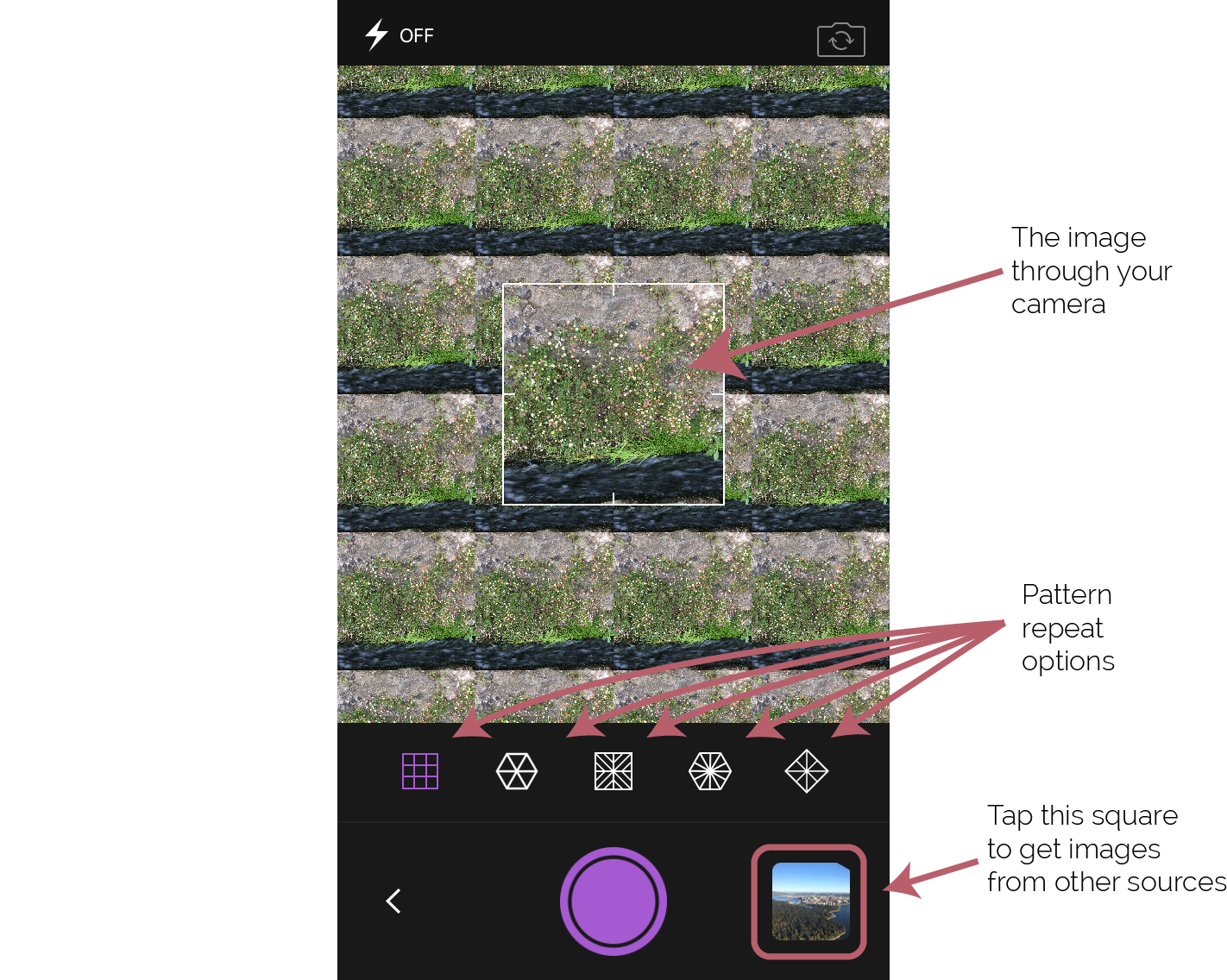 Image 2.png