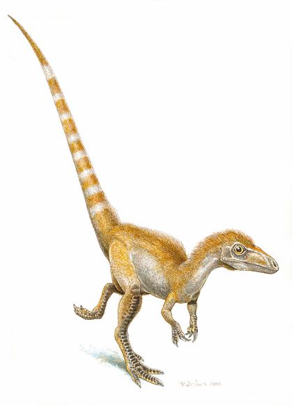Dino%20Colors.jpg