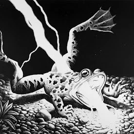 Episode 147 - Flash Fried Frog Legs