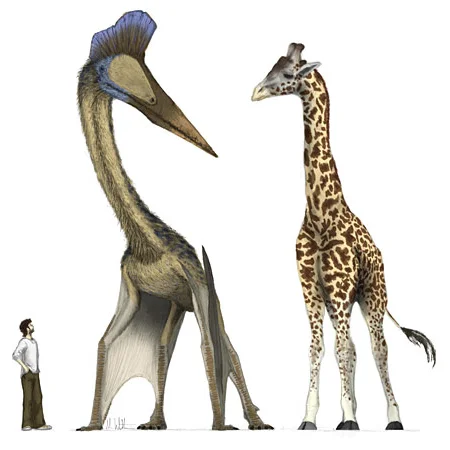 Episode 77 - Terrorism & Pterosaurs