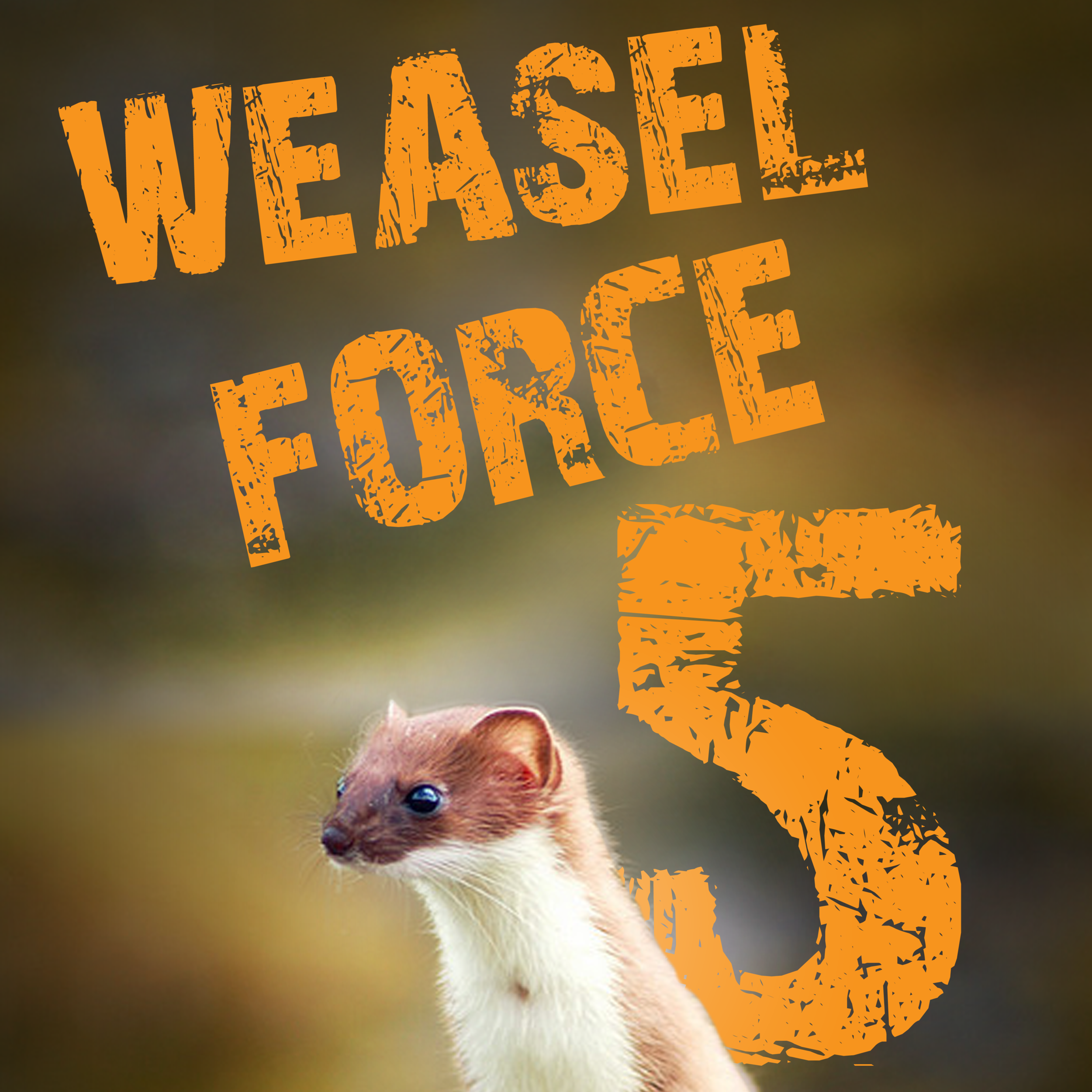 Episode 252 | Weasel Force Five