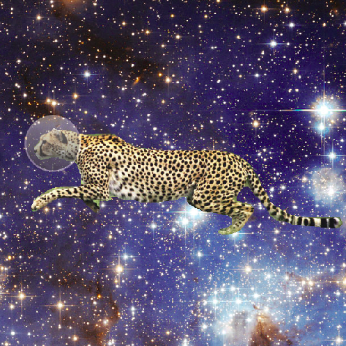 space_cheetah