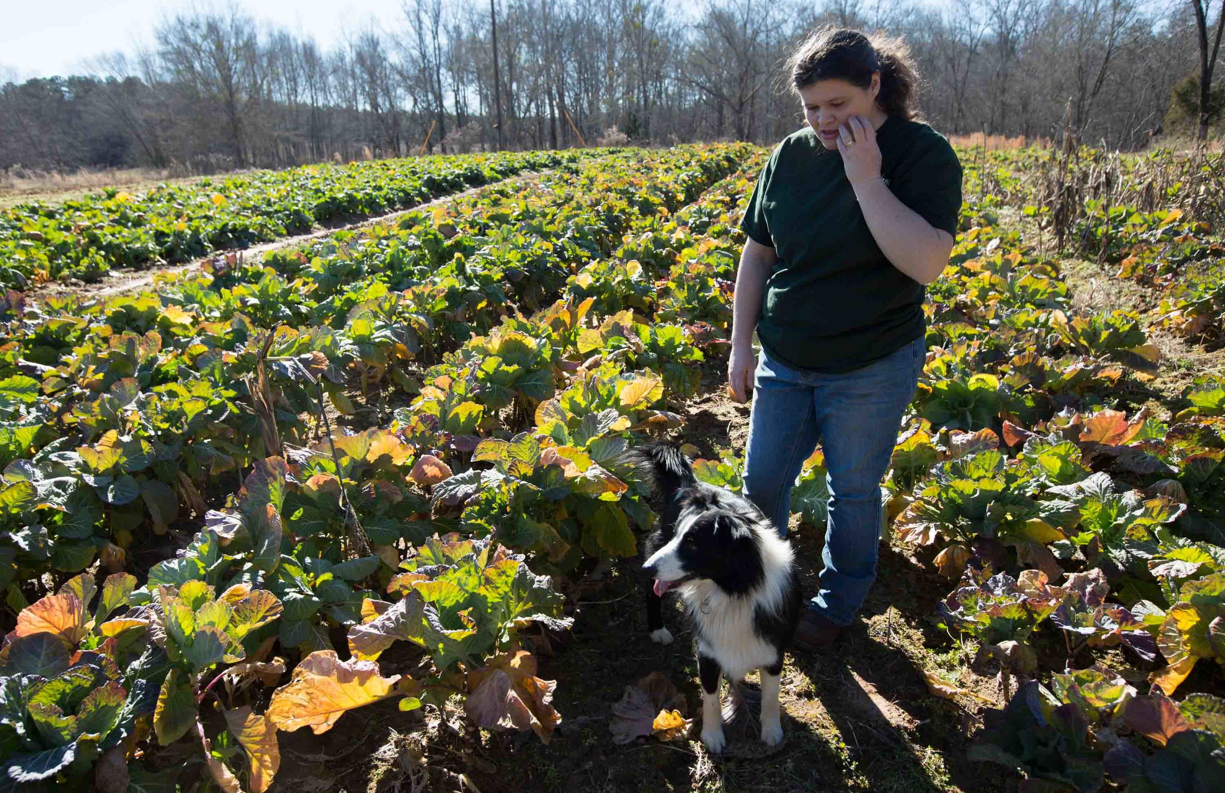 Jennifer Head and her farm dog walk through Blessed Acres Farm, Friday, Jan. 29, 2016, in Milner, Ga. Photo: Branden Camp