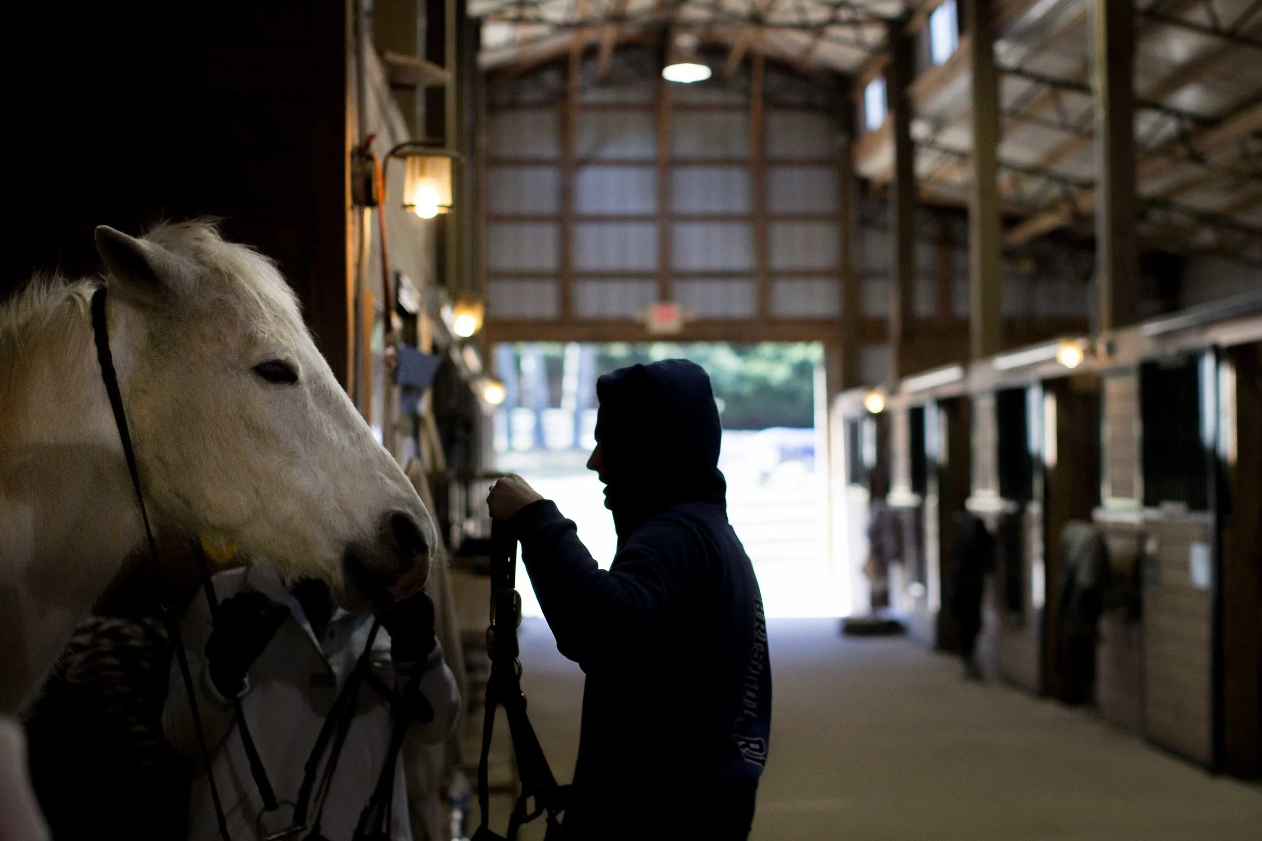 Niki McDonnell prepares a horse for riding lessons inside a horse stable on a cold day, Wednesday, Feb. 10, 2016, in Woodstock, Ga. (AP Photo/Branden Camp)