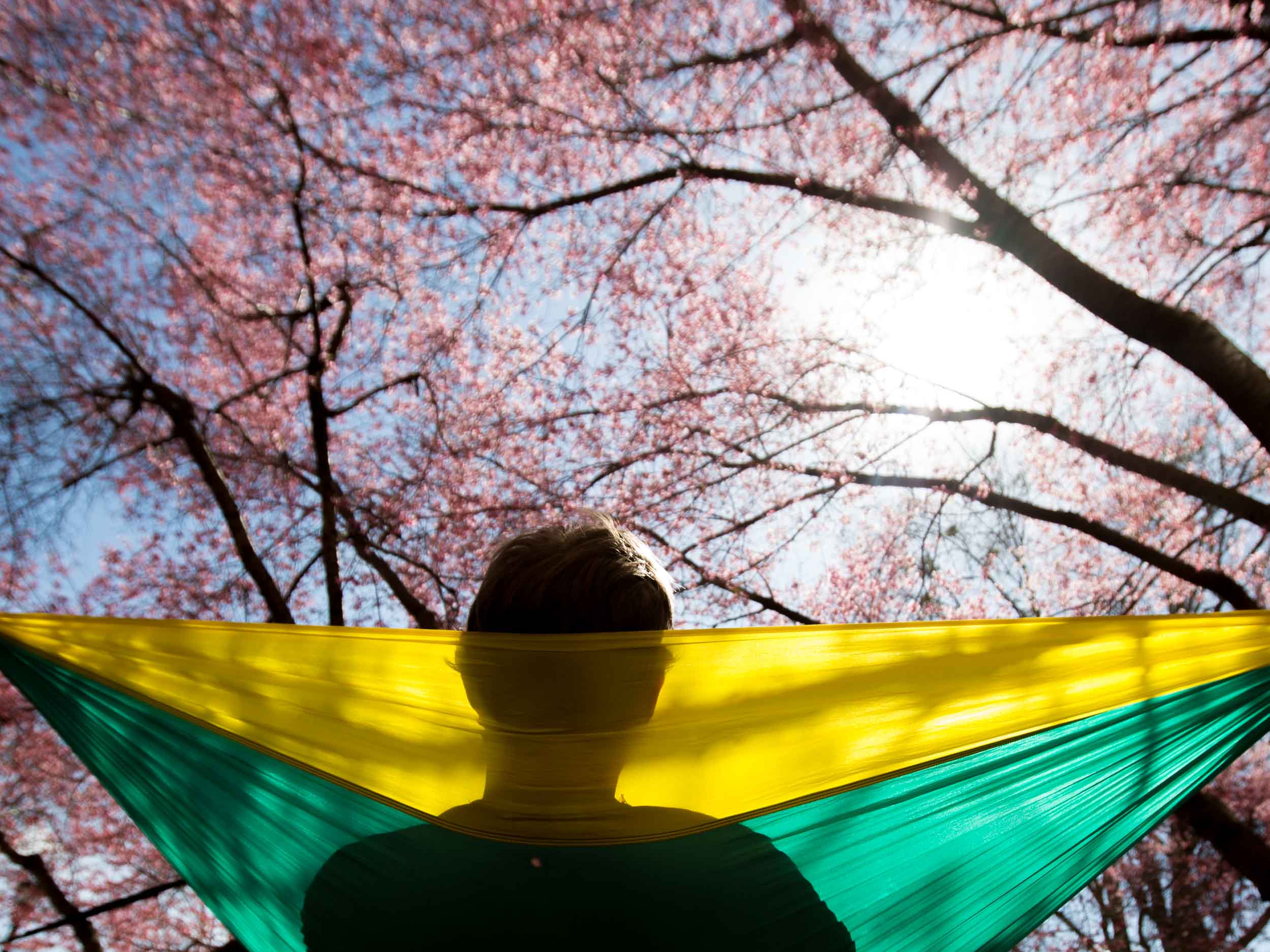  A Kennesaw State University relaxes in a hammock on campus on warm day, Thursday, March 10, 2016, in Kennesaw, Ga.