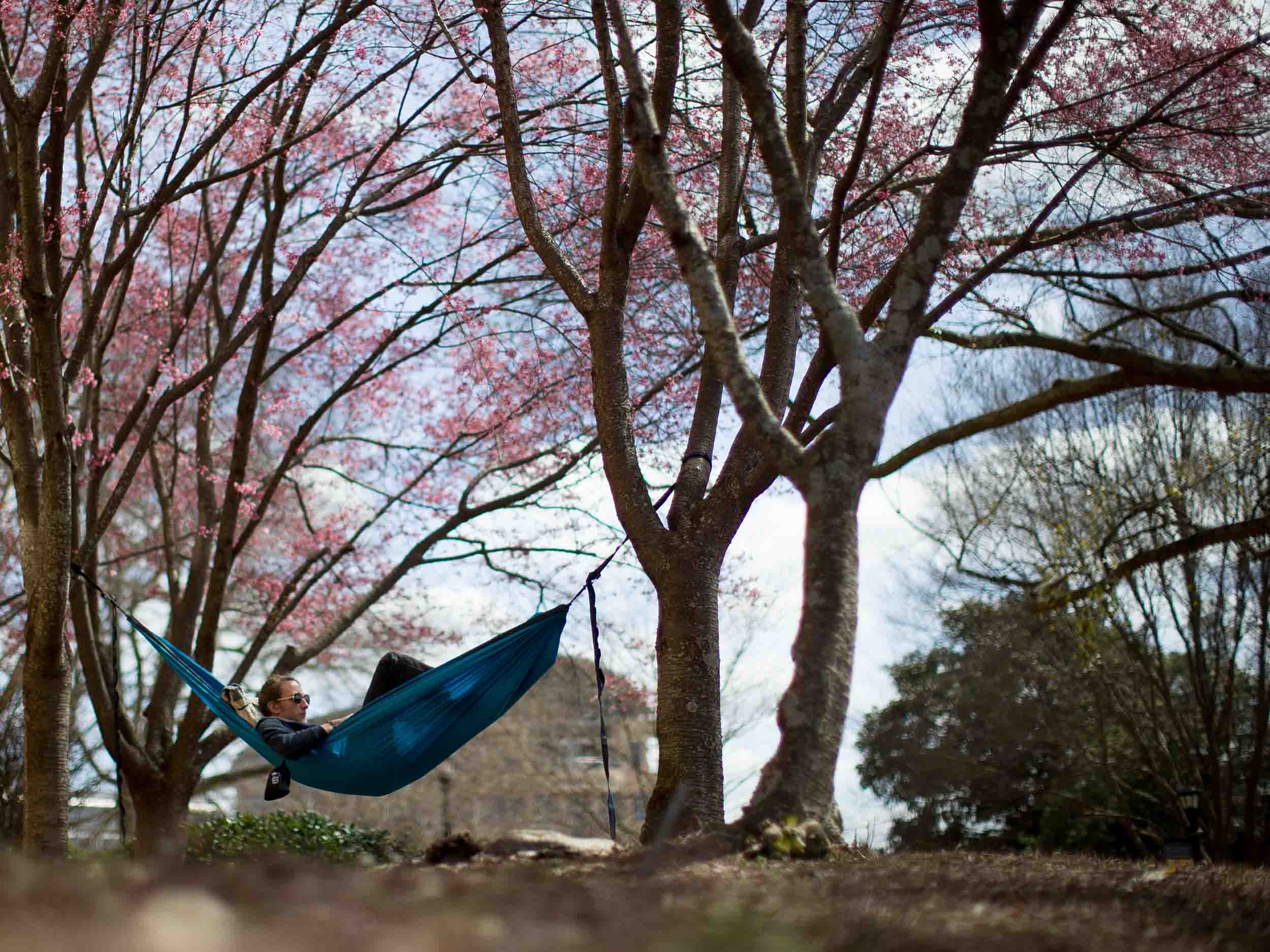  A Kennesaw State University relaxes in a hammock on campus on warm day, Thursday, March 10, 2016, in Kennesaw, Ga.