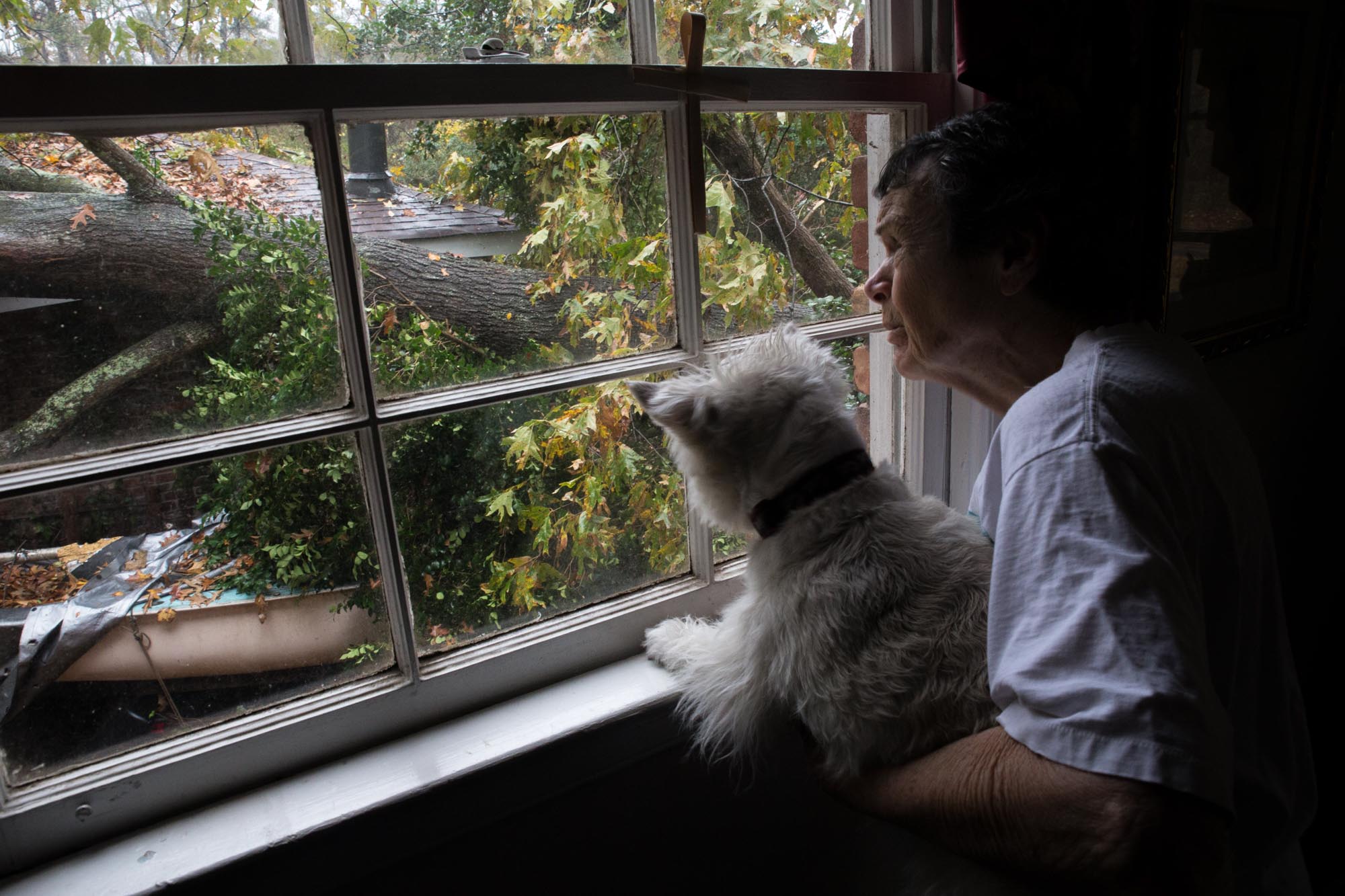 88-year-old Martha Jane Jones, holding her dog, Molly, poses for a photo while looking out at a tree that fell on her neighbors home, Wednesday, Nov. 30, 2016, in Atlanta. The National Weather Service says a tornado has touched down near Atlanta as heavy storms continue to sweep through parts of the southern region. Branden Camp for AJC