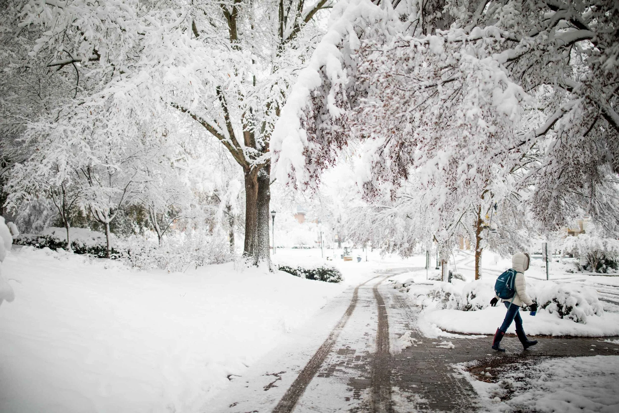 2017_Snow-109.jpg