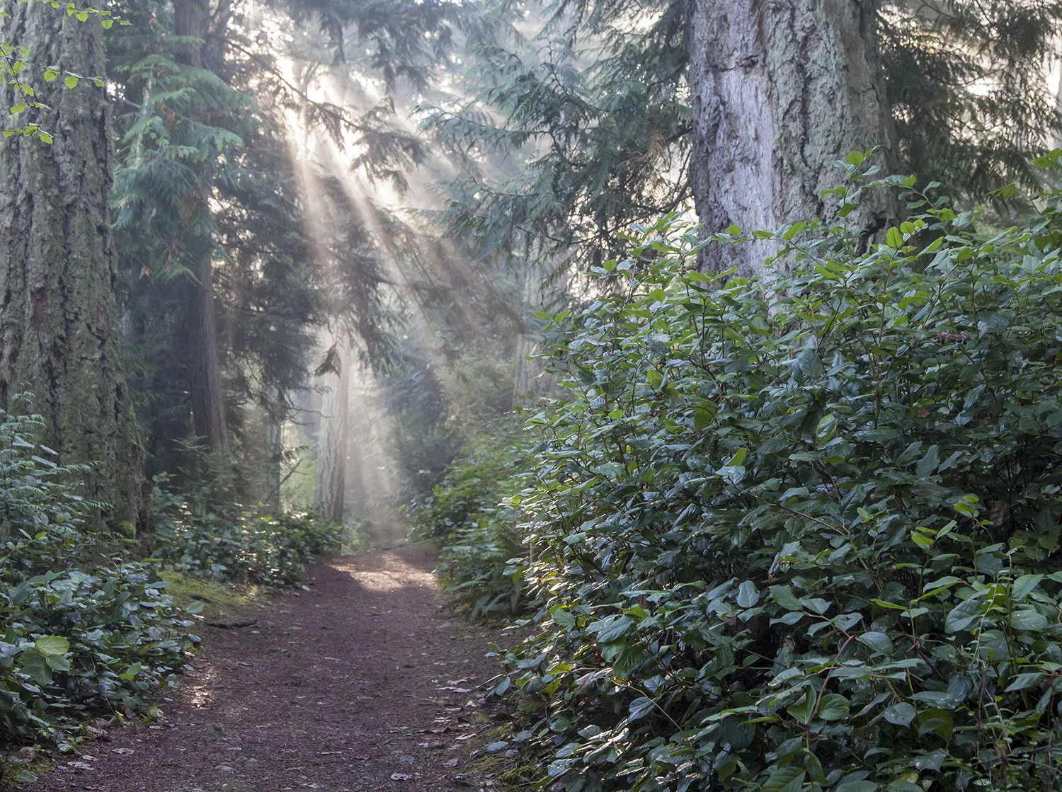 Goose Rock Trail - Copyright 2014 Marcia Neu