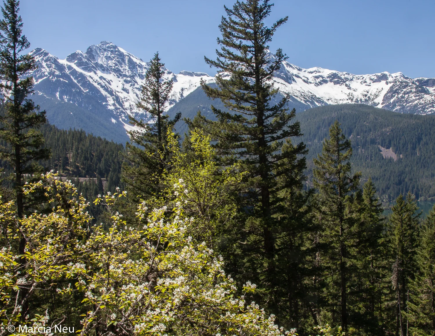 Diablo Lake Trail