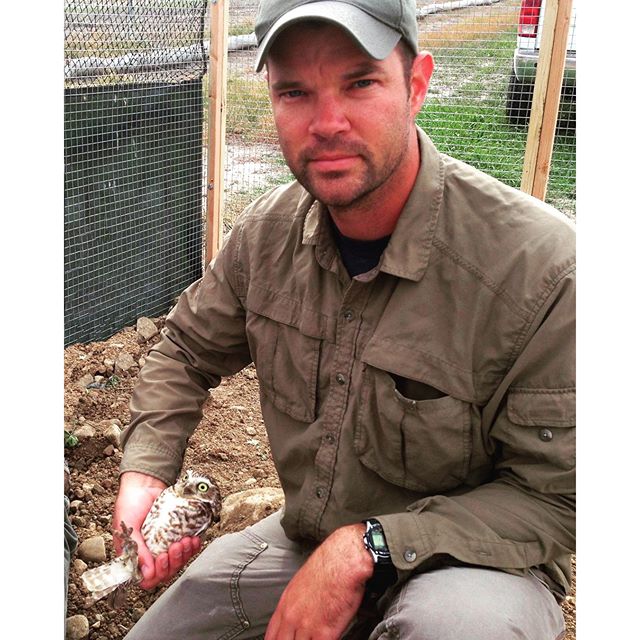 This #burrowingowl 's surprised look is priceless...but, don't worry, handling him was part of the greater good. @trehawke helped relocating this guy to temporary, artificial habitat nearby its home #burrow during ongoing construction nearby. #buow a