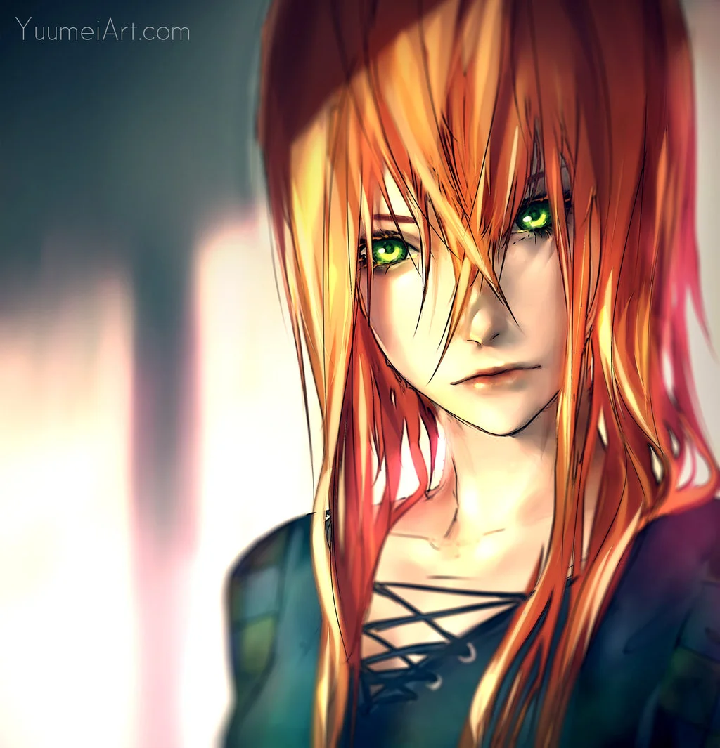 fisheye_placebo__robin_paintover_test_by_yuumei-da6gshi.jpg
