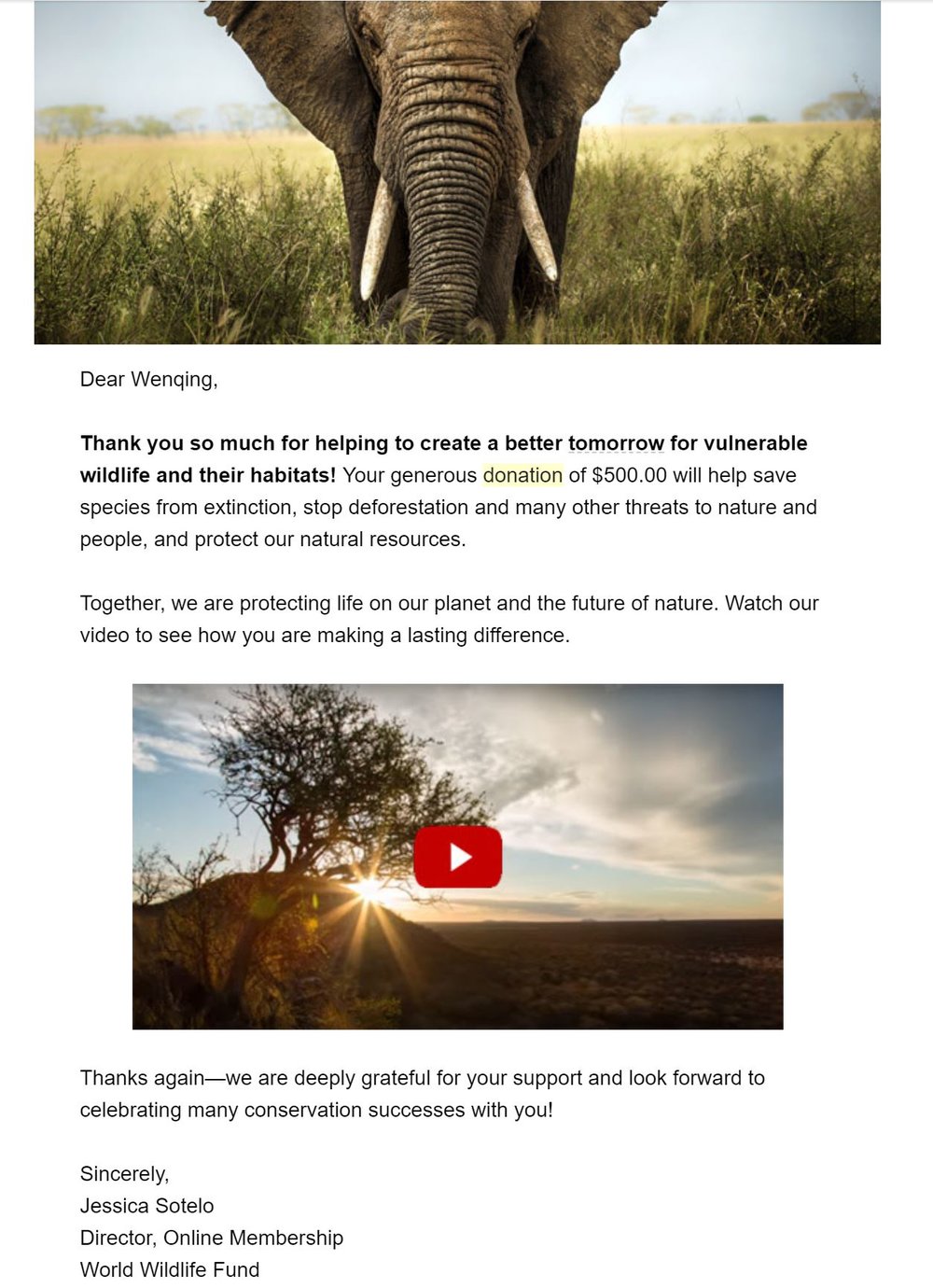 World Wildlife Fund 500 dollars.JPG