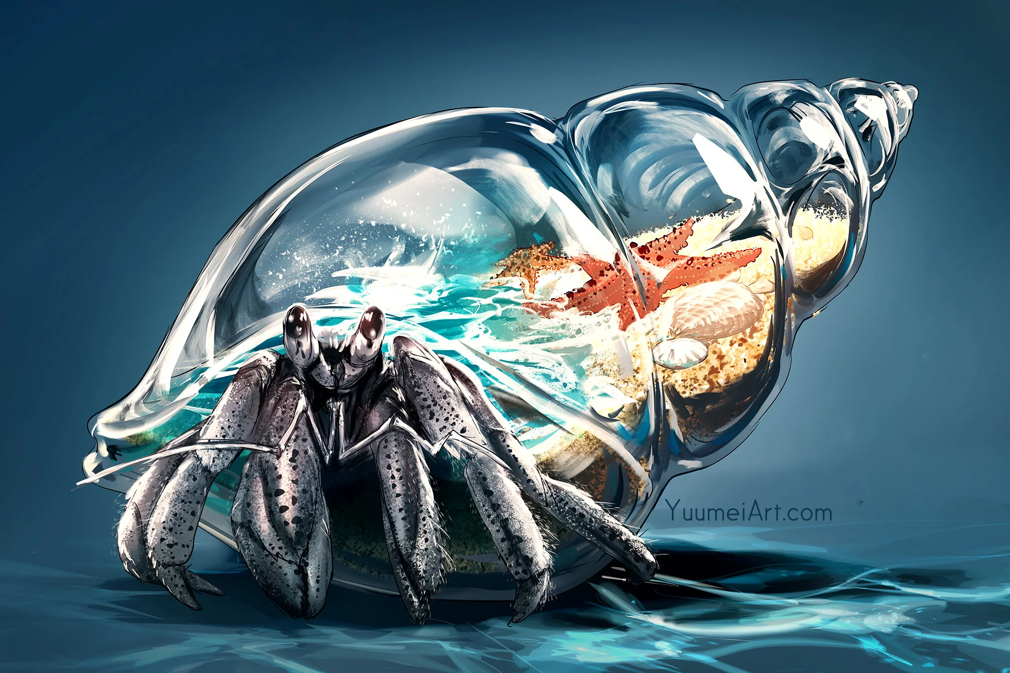 Shelter_within_hermit_crab_post.jpg