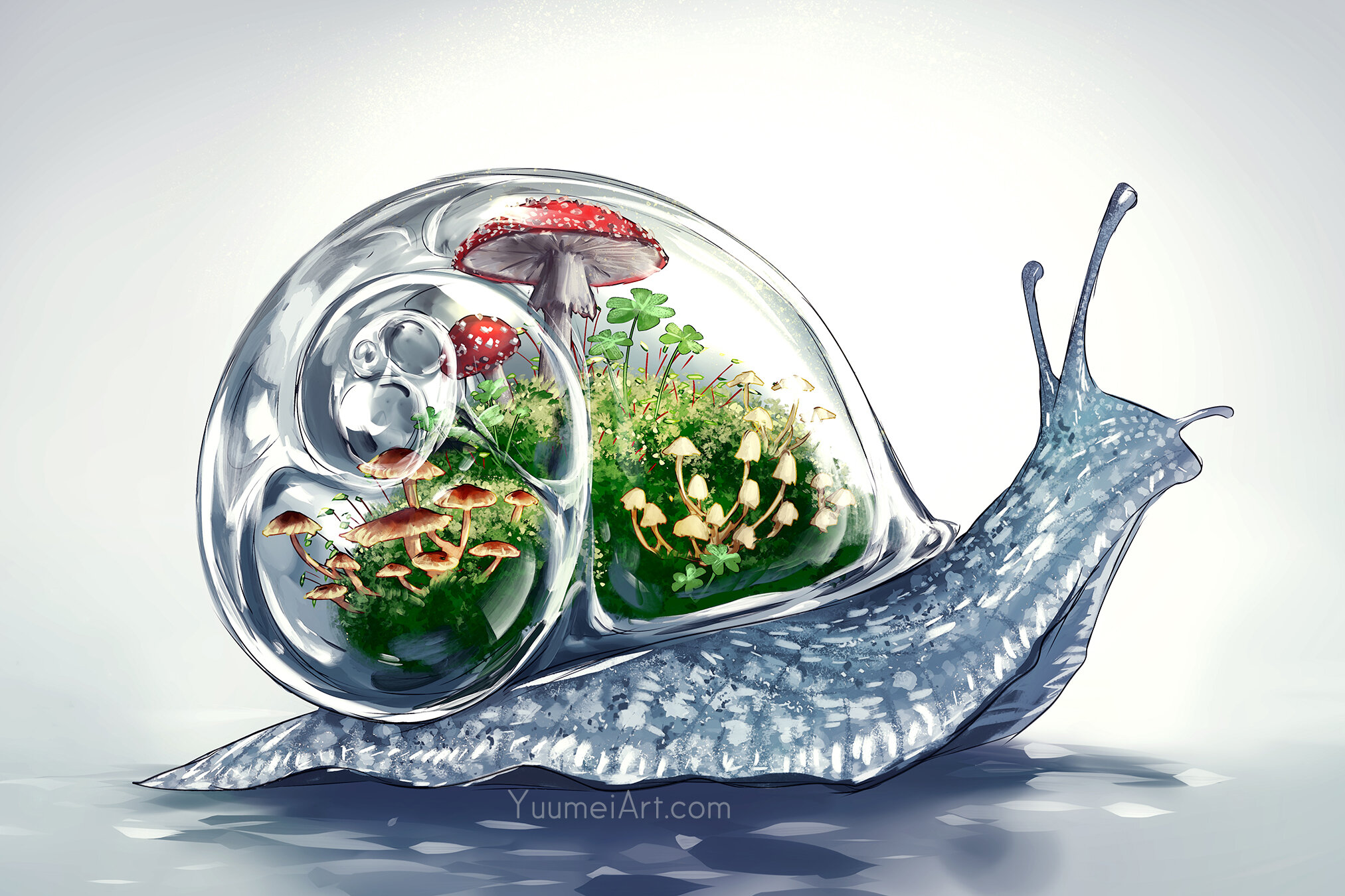 Shelter_Within_Snail_post.jpg