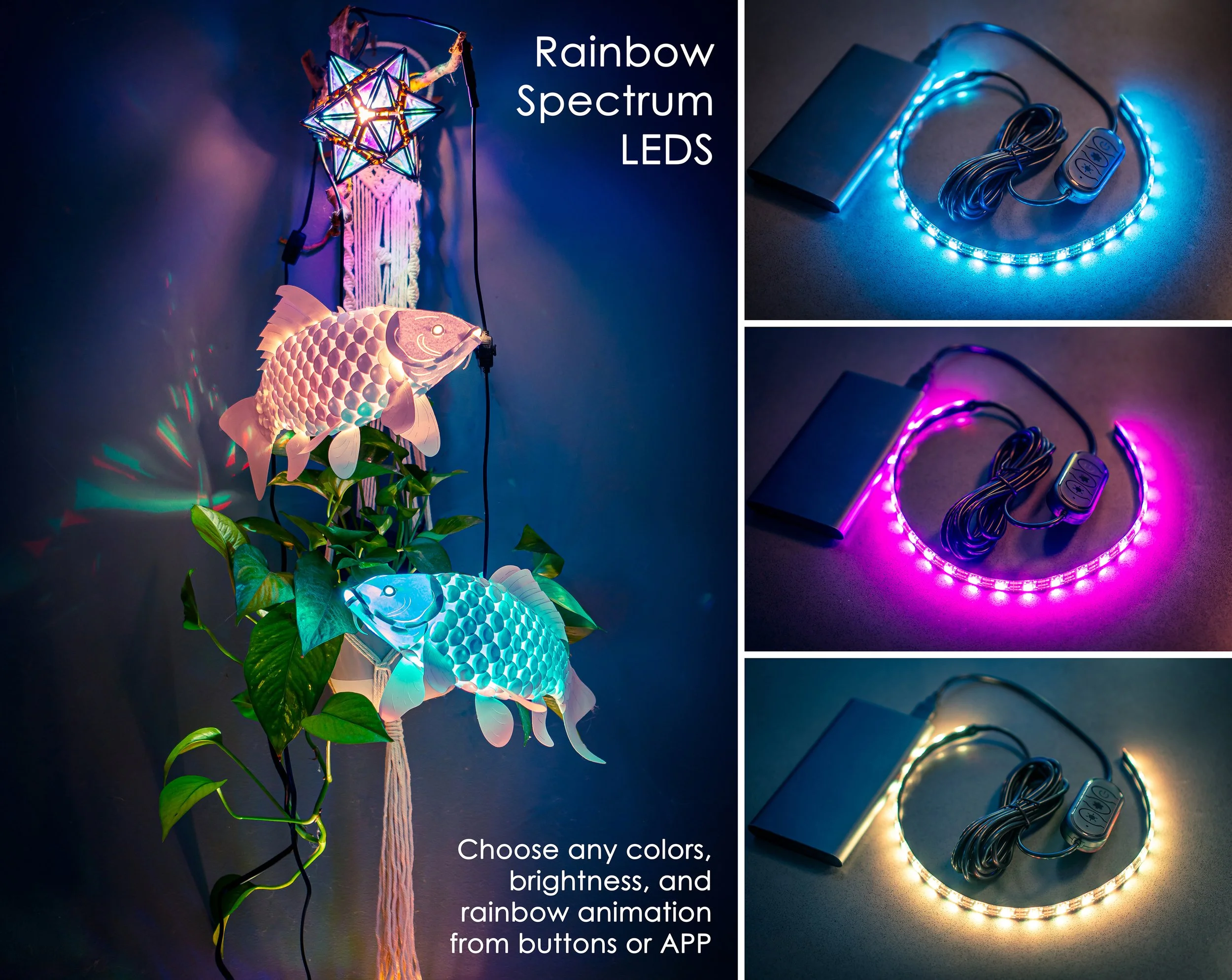 LED light info 2.jpg