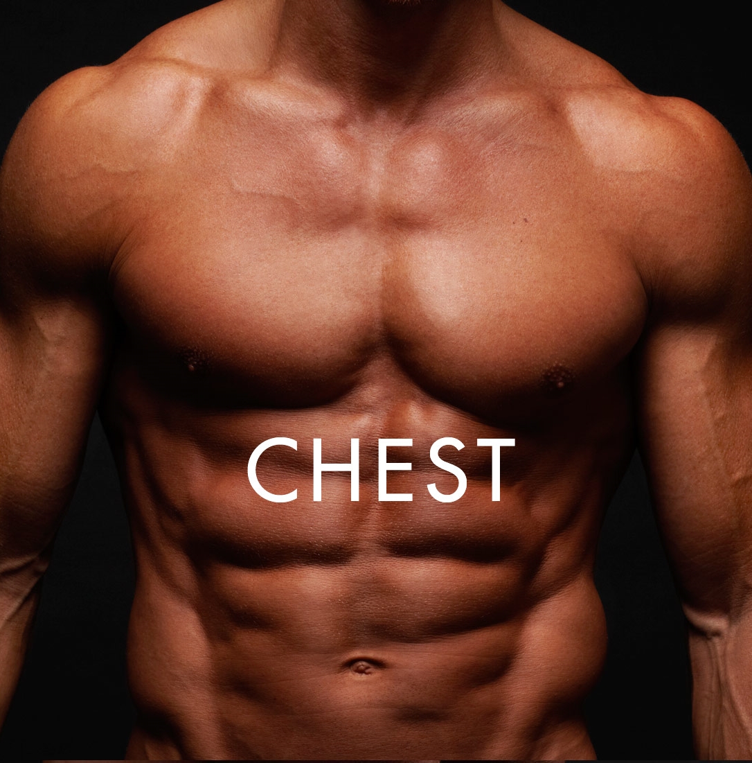 SQ_04_CHEST.jpg