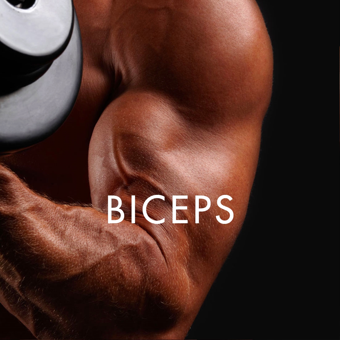 BICEPS_SQ