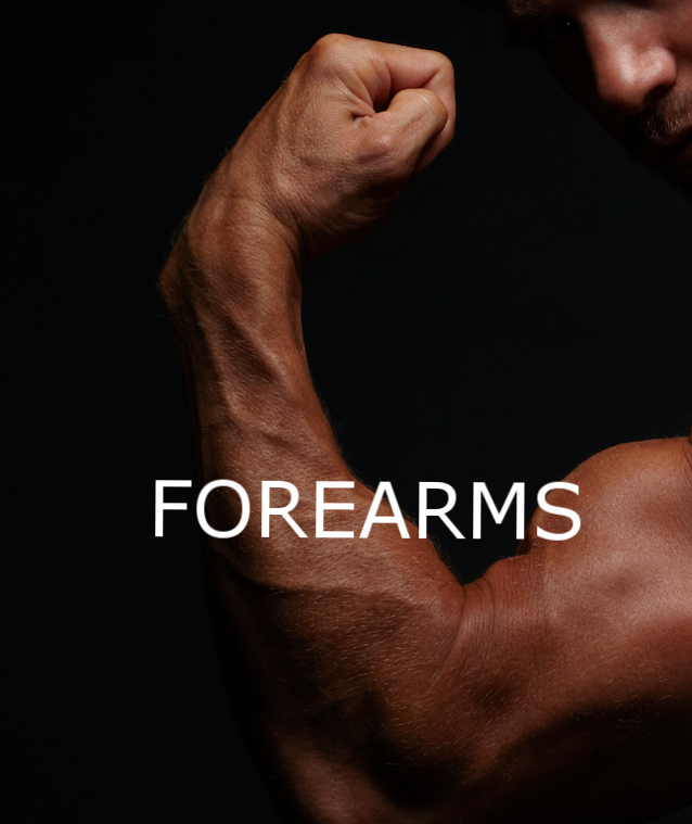 FOREARMS_SQ