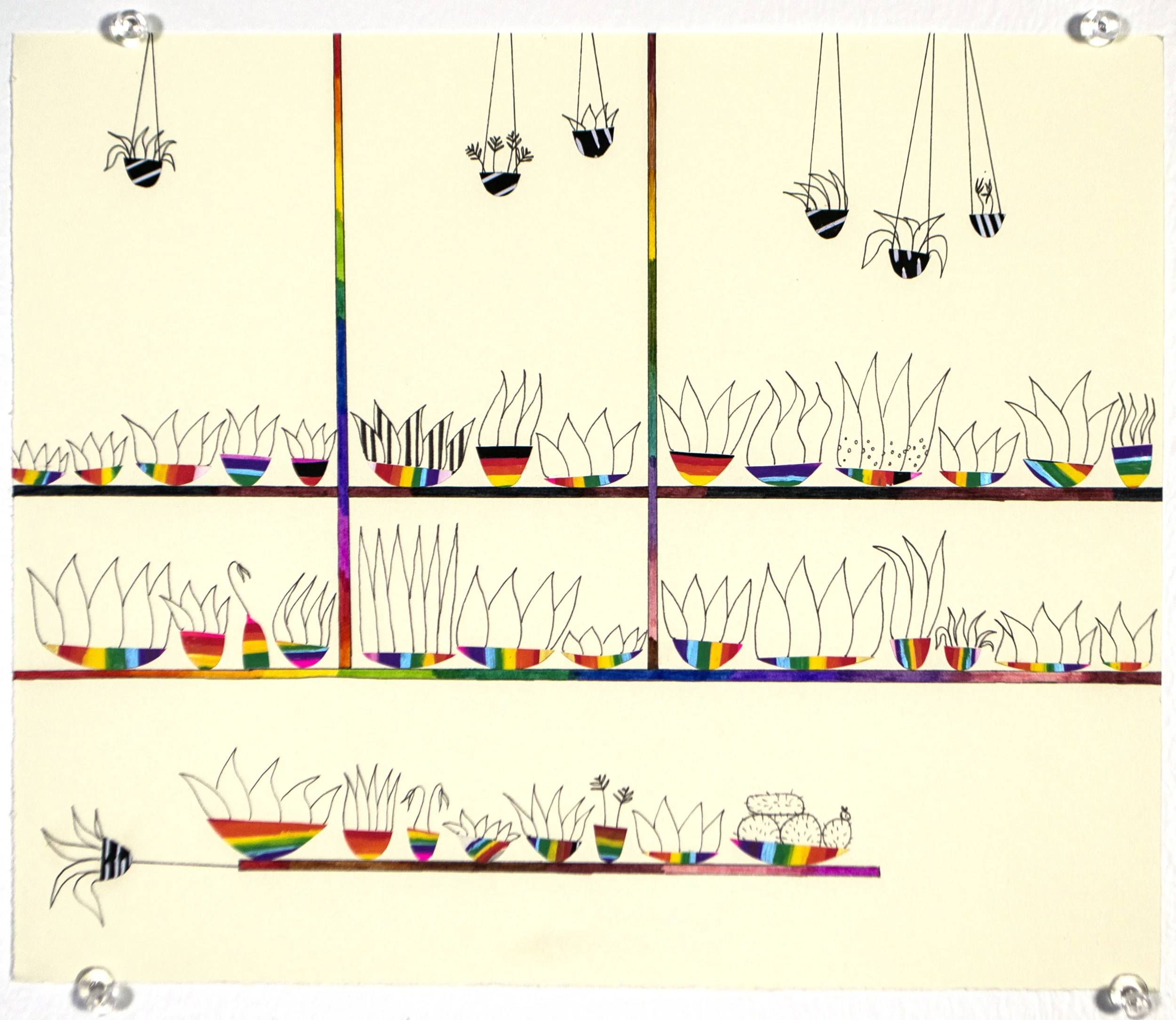 quick_rainbow_plants.jpg