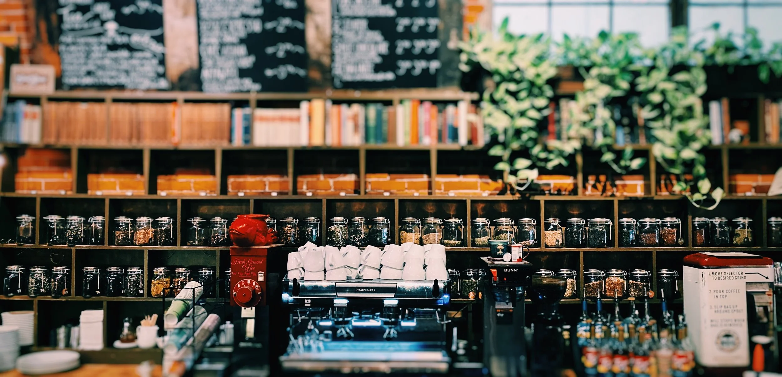 taproot tea photo.jpeg