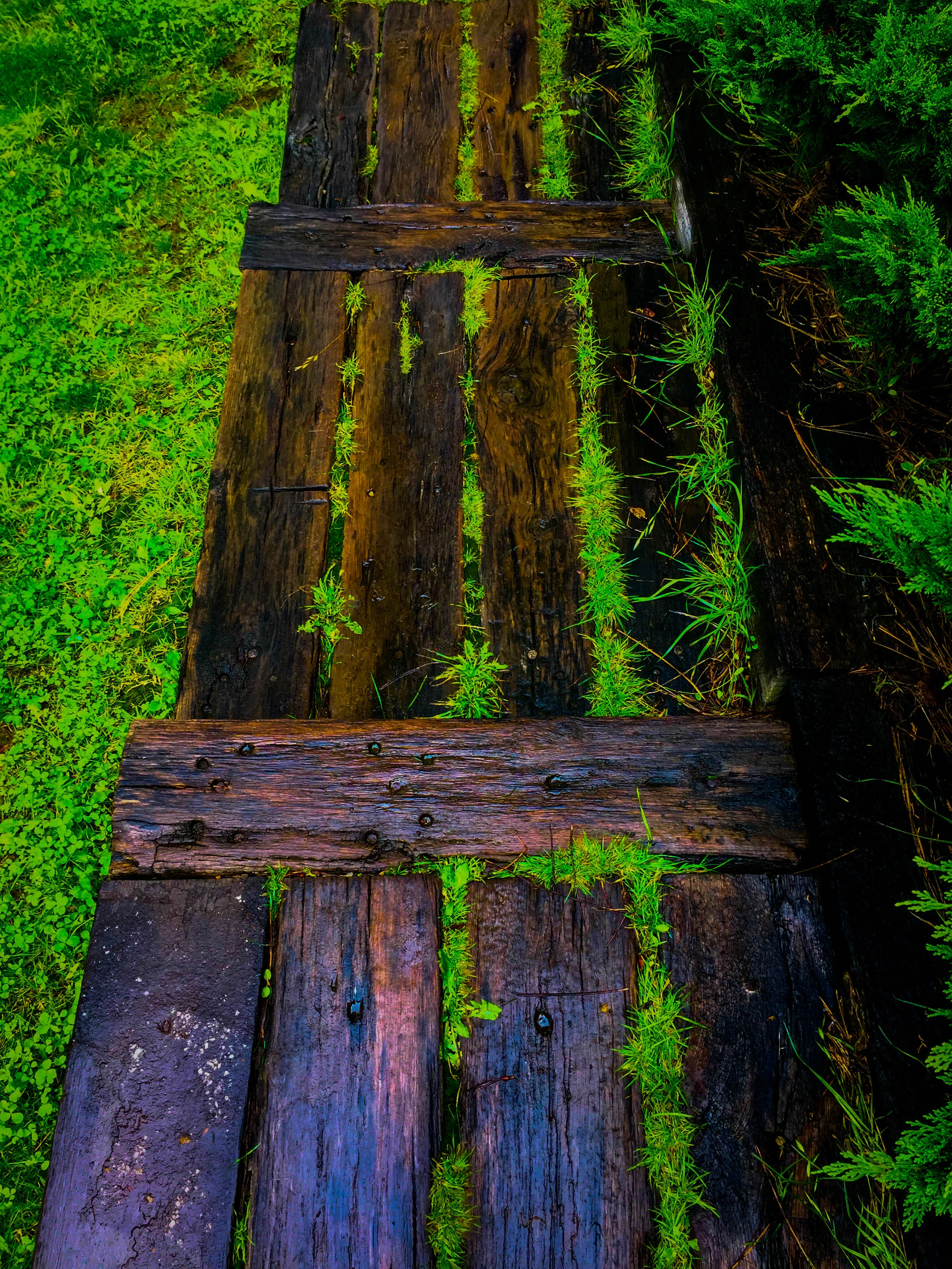 FullSizeRender 2.jpg