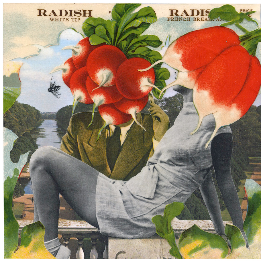   Darling, you're radishing  (2015) 