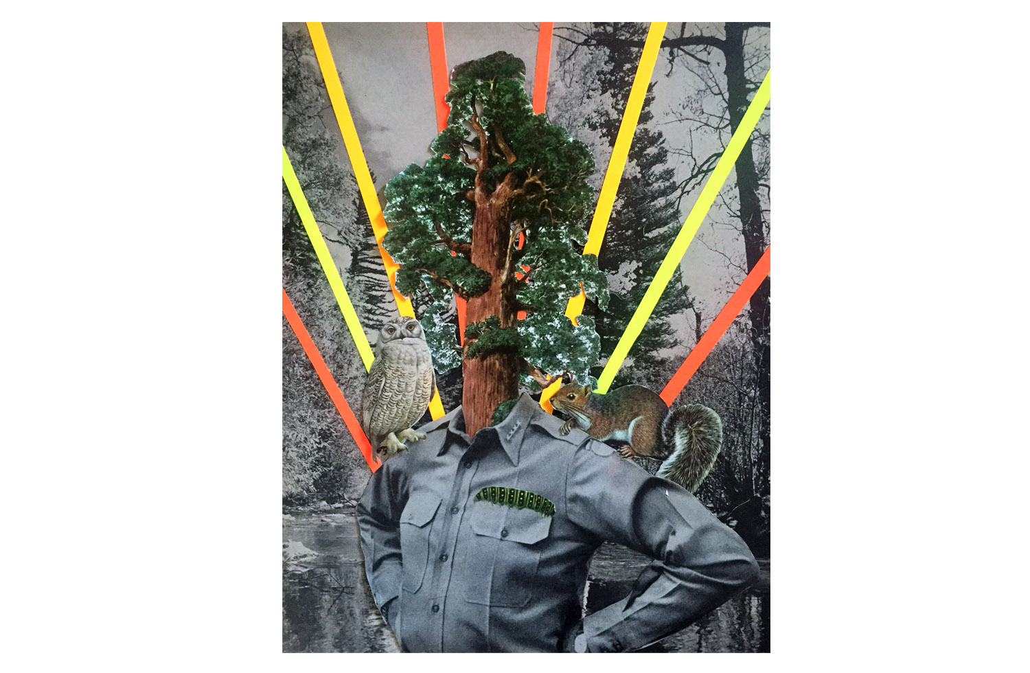Editorial illustration about life in the national park service.