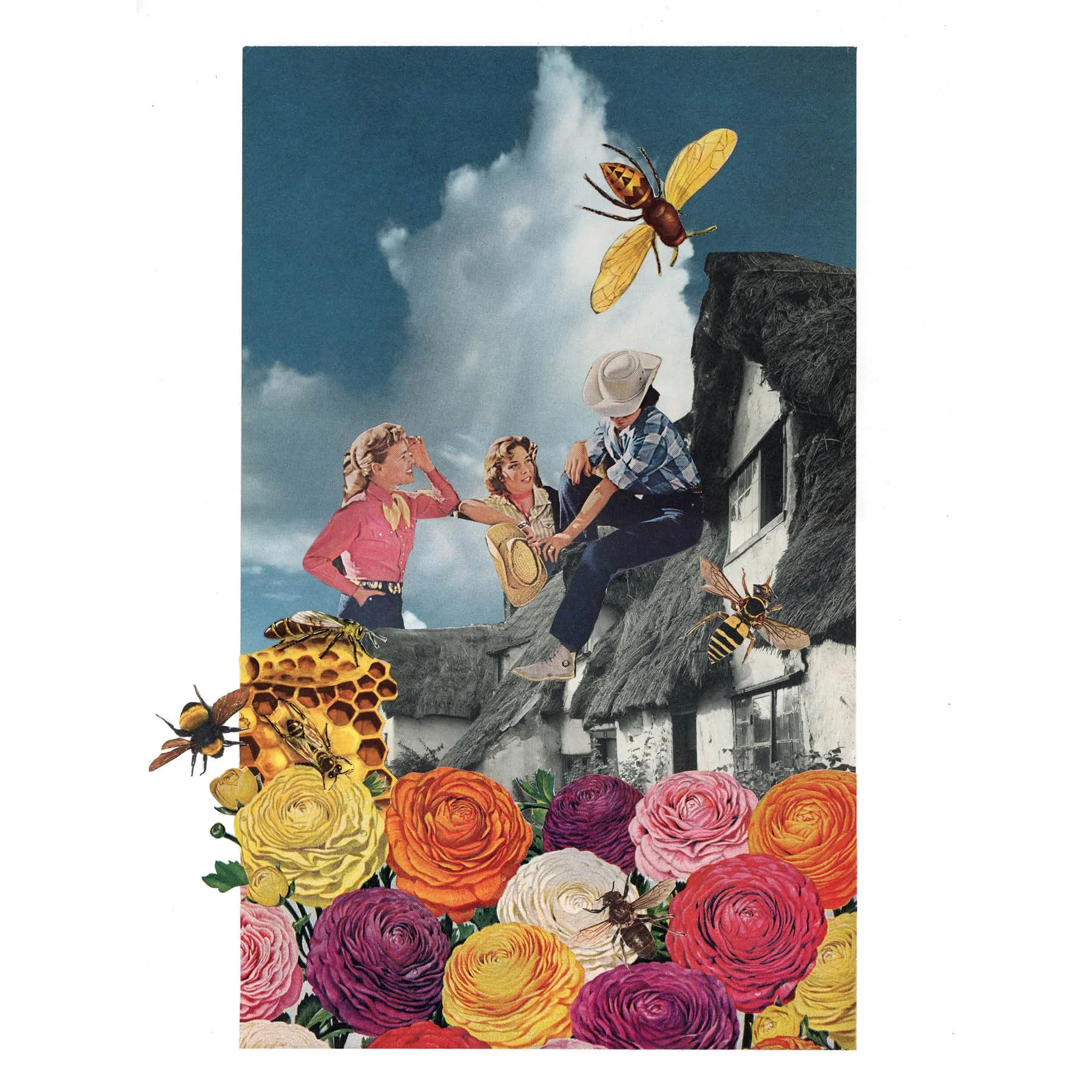 House11-print.jpg (Copy)