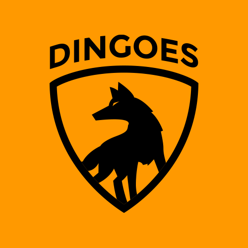 DINGOES ROSTER CAPTAIN (Woman): Amanda Boe CAPTAIN (Men): Brian Flaherty Players: Akiva Gebler Brian Flaherty Troy Kilburn Matt Elliott Eric Butler Zachariah Kilburn Alex Shaw Lateah Holmes Nenad Bulicic Amanda Boe Sean O'Sullivan Locky Ainley Jeremy Taiwo Helen Marion Aaron Winkler