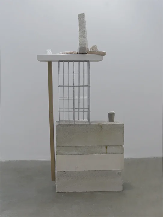Caged Fox in Bleak Winter