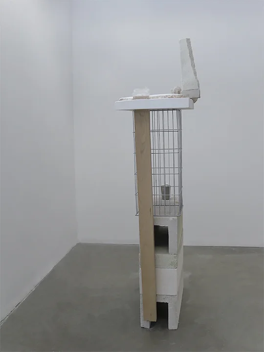 Caged Fox in Bleak Winter