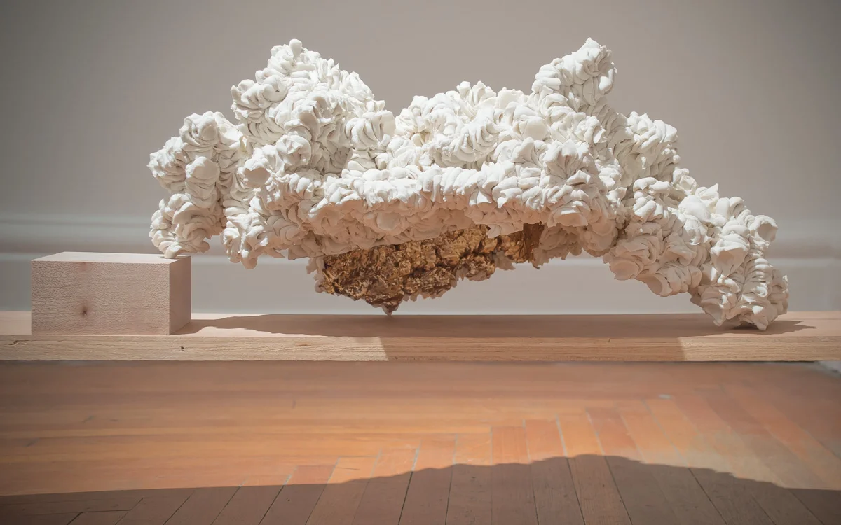 Accumulation, detail