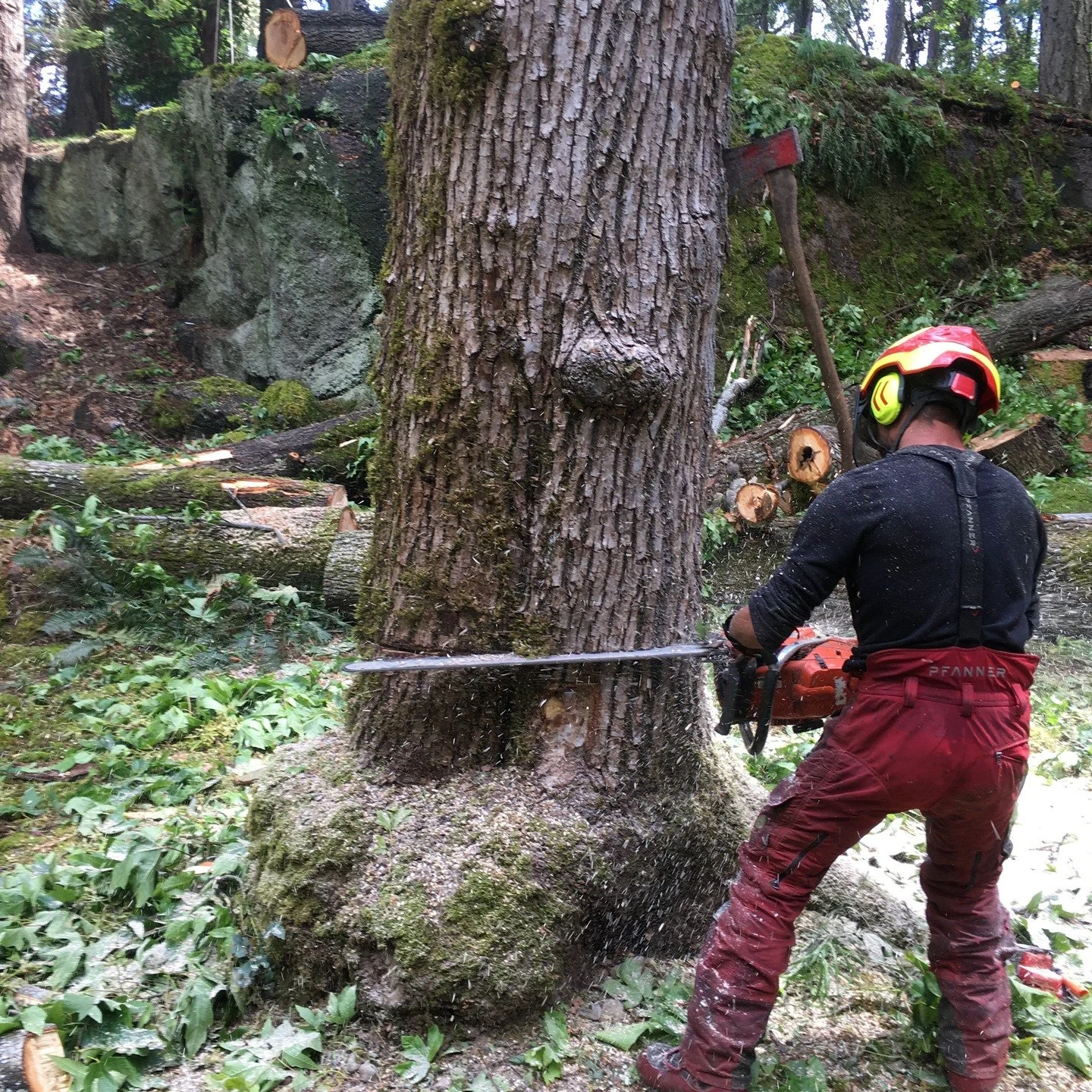 making a mess and cleaning it up again.